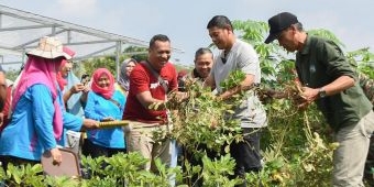 Resmikan Kampung Tani Jamsaren, Wali Kota Kediri: Cocok untuk Wisata Edukasi Urban Farming
