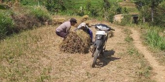 Gelar Patroli Dialogis, Polsek Ngrambe Dekatkan Diri dengan Para Petani