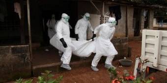 Gawat! Vaksin Ebola Paling Cepat Tahun 2015