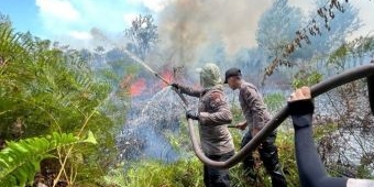 Fenomena El Nino Dapat Berpotensi Kebakaran Hutan 