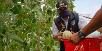Targetkan Ekspor Hasil Pertanian, Bupati Kediri Dorong Milenial Terapkan Smart Farming