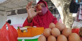Jelang Maulid Nabi, Harga Telur Ayam Ras Merangkak Naik di Wilayah Ini