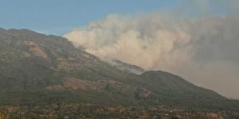 Waspada Kebakaran Hutan di Gunung Lawu Meluas