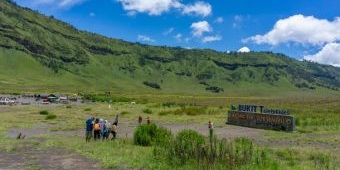 Savana Bromo Sudah Kembali Menghijau, Berikut Harga Tiket Wisatanya