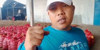 Perjuangkan Nasib Seprofesinya, Petani Bawang di Kota Probolinggo Jadi Bacaleg Golkar