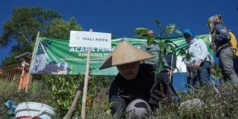 Tingkatkan Nilai Ekonomi, Petani Gunungsari Mulai Galakkan Tanam Kopi