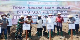 Potensi Lahan Tebu di Mojokerto Capai 11.140 Hektare, Diharap Bisa Produksi Gula 45.055 Ton Lebih