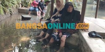 Pengakuan Mbah Koripah, Tiga Kali Terapi Ikan Garra Rufa, Penyakit Linunya Bisa Sembuh