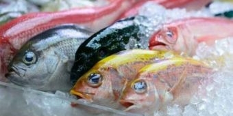 Cerdas Mengolah Ikan Jadi Cara Pengusaha di Beji Kabupaten Pasuruan Meraup Keuntungan