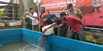 Megawati Kirim Belasan Ribu Benih Lele untuk Pembudi Daya Ikan di Banyakan Kediri