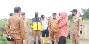 Sawah di Desa Tempuran Terendam Banjir, Pemkab Mojokerto Kerahkan Alat Berat
