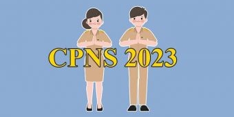 BKN Rilis Fitur ASN Karier untuk Cek Formasi CASN 2023, Berikut Caranya
