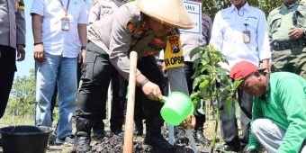 Gandeng Perhutani, Kapolres Ngawi Manfaatkan Hutan Sebagai Lahan Produksi Pangan