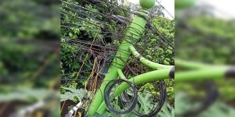 Dinas PUCKPP Banyuwangi Segera Tertibkan Kabel Semrawut di LPJU