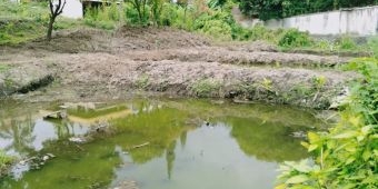 DLH Kota Batu Bangun Tiga Kolam Ramah Lingkungan untuk Budi Daya Ikan yang Hampir Punah