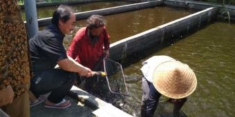 Kemenaker Tinjau Mantan Pekerja Migran yang Sukses Budidaya Ikan