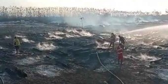 155 Hektare Lahan Kilang Minyak Tuban Hangus Terbakar, Kerugian Capai Rp75 Miliar
