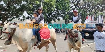 Kirab Pemilu 2024, KPU Kabupaten Kediri Libatkan Cikar dan Sapi