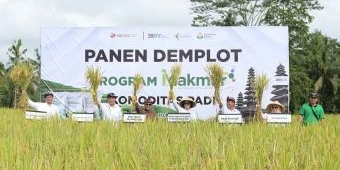 Petrokimia Gresik Berikan Pendampingan Pertanian Komprehensif di Gianyar Bali