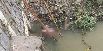 Penemuan Mayat Gegerkan Warga Sidoarjo, Diduga Pelaku Pencurian di Minimarket