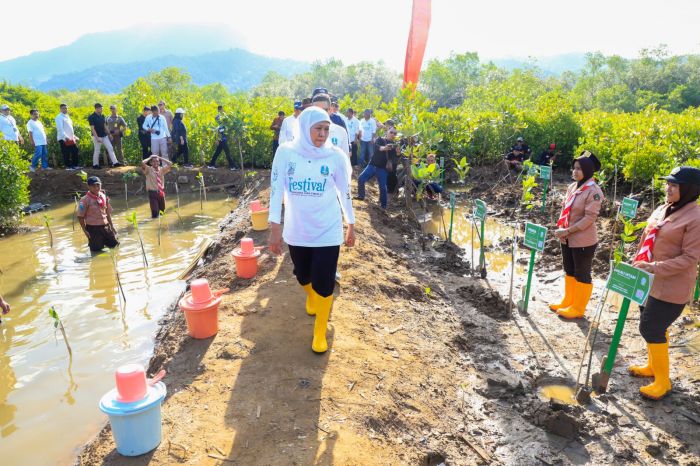 3 Tahun Berturut-turut Jatim Juara Lomba Wana Lestari Nasional, Khofifah Apresiasi Insan Rimbawan 3 Tahun Berturut-turut Jatim Juara Lomba Wana Lestari Nasional, Khofifah Apresiasi Insan Rimbawan