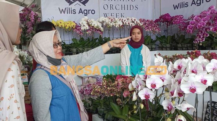 Dongkrak Perekonomian Masyarakat di Kota Agropolitan, Batu Shining Orchids Week 2023 Kembali Digelar
