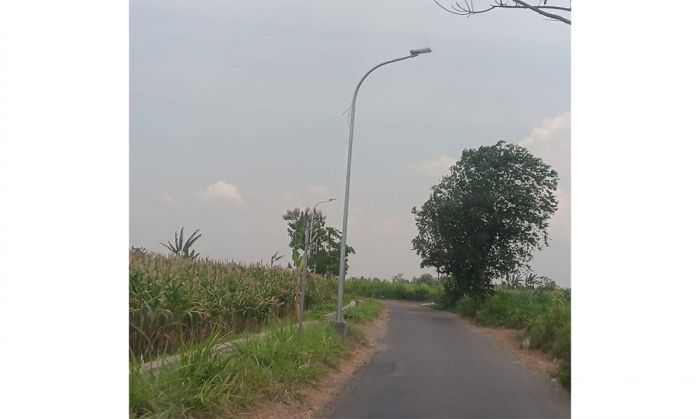 Terangi Desa, Pemkab Situbondo Pasang 262 Titik PJU dari DBHCHT Terangi Desa, Pemkab Situbondo Pasang 262 Titik PJU dari DBHCHT