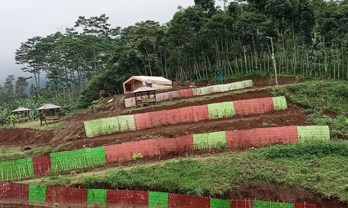 Dukung Pariwisata Lumajang, Bank Jatim Serahkan 5 Set Tenda Glamping kepada Pemkab