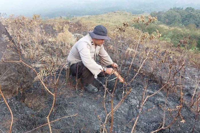 Polres Malang Beberkan Sebab Kebakaran Gunung Arjuno Polres Malang Beberkan Sebab Kebakaran Gunung Arjuno