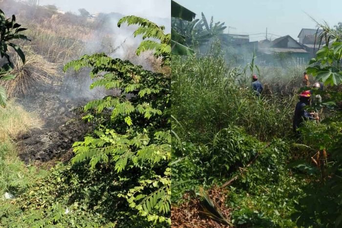 Masuk Musim Kemarau, Dua Lahan Kosong di Sidoarjo Terbakar Masuk Musim Kemarau, Dua Lahan Kosong di Sidoarjo Terbakar