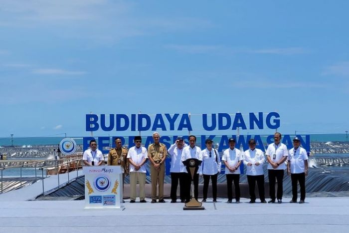Presiden Jokowi akan Bangun Tambak Budi Daya Udang Berbasis Kawasan di Waingapu NTT Presiden Jokowi akan Bangun Tambak Budi Daya Udang Berbasis Kawasan di Waingapu NTT