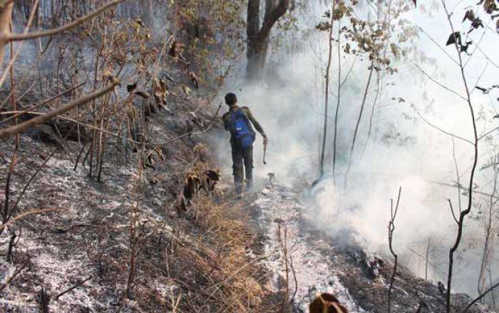 7 Pendaki Gunung Lawu yang Tewas: Sumarwan Semula Tak Ingin Mendaki, Namun Turuti Kemauan Anak 7 Pendaki Gunung Lawu yang Tewas: Sumarwan Semula Tak Ingin Mendaki, Namun Turuti Kemauan Anak