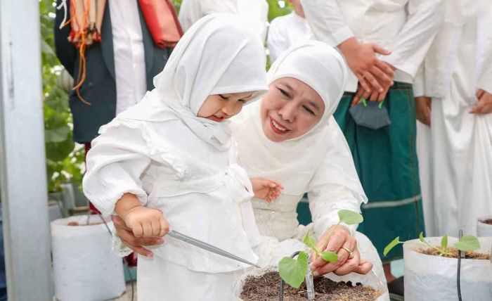 Gubernur Khofifah Ajak Cucu Tanam dan Panen Golden Melon di Green House Masjid Al Akbar