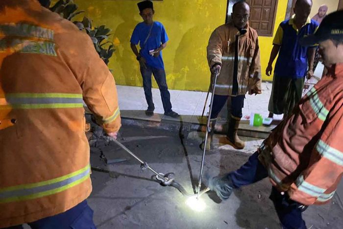 Damkar Gresik Tangkap Ular Kobra Sepanjang 1,5 Meter di Duduksampeyan Damkar Gresik Tangkap Ular Kobra Sepanjang 1,5 Meter di Duduksampeyan