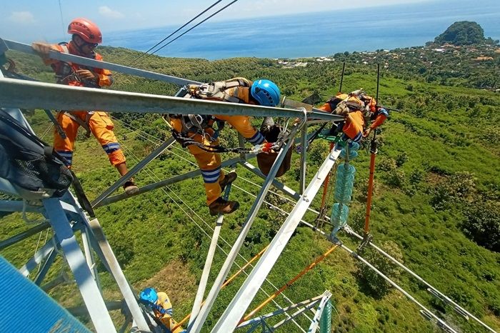 PLN UIT JBM Terus Lakukan Pemeliharaan Jaringan PLN UIT JBM Terus Lakukan Pemeliharaan Jaringan