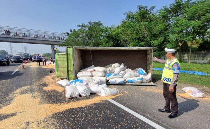 Diseruduk Bus, Truk Muat Jagung Terguling di Tol Sidoarjo