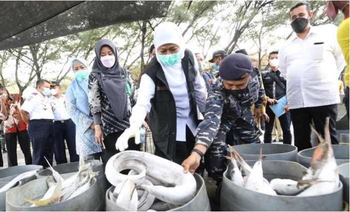 Kuartal I Tahun 2023, Ekonomi Jatim Tumbuh 4,95%, Khofifah Optimis Bakal Kian Melejit Kuartal I Tahun 2023, Ekonomi Jatim Tumbuh 4,95%, Khofifah Optimis Bakal Kian Melejit