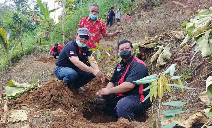 HUT ke-48, PDIP Kabupaten Kediri Kembali Tanam 2.000 Pohon di Lereng Wilis