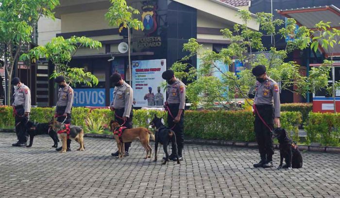 Jelang Nataru, Anjing Pelacak Polresta Sidoarjo Siap Bantu Pengamanan