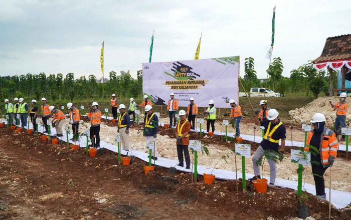 SIG Tanam Pohon Kaliandra Merah di Sumatera Barat dan Tuban SIG Tanam Pohon Kaliandra Merah di Sumatera Barat dan Tuban
