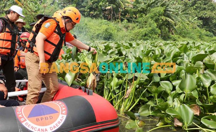 Tinjau Pembersihan Eceng Gondok, Plh Gubernur Jatim: 1,4 Km Aliran Sungai Sudah Bersih