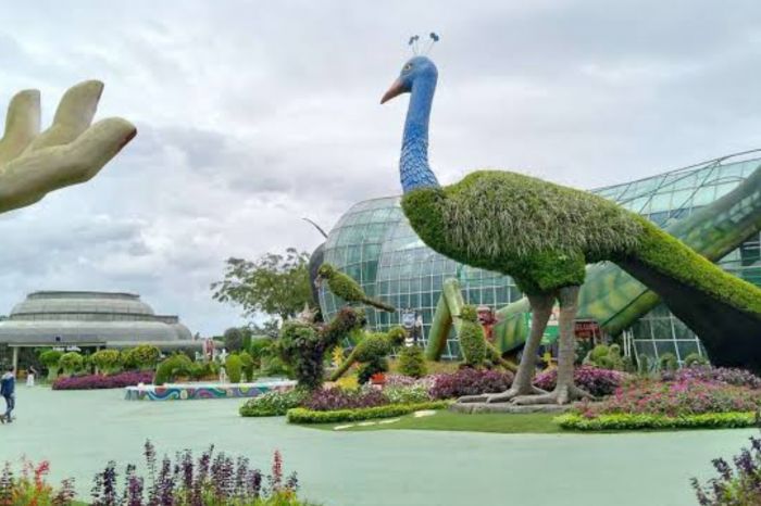 Tiket dan Wahana Batu LoveGarden Bulan Ini Tiket dan Wahana Batu LoveGarden Bulan Ini