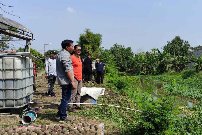 Gunakan Kotoran Sapi dan Kambing, DLHK Sidoarjo Perkenalkan Cara Baru Rawat Ekosistem Sungai