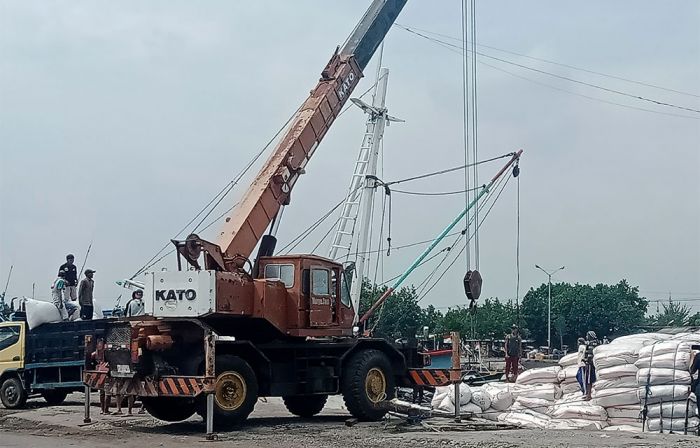 Bersengketa, Ribuan Karung Gaharu Akhirnya Dibongkar di Pelabuhan Tanjung Tembaga Probolinggo