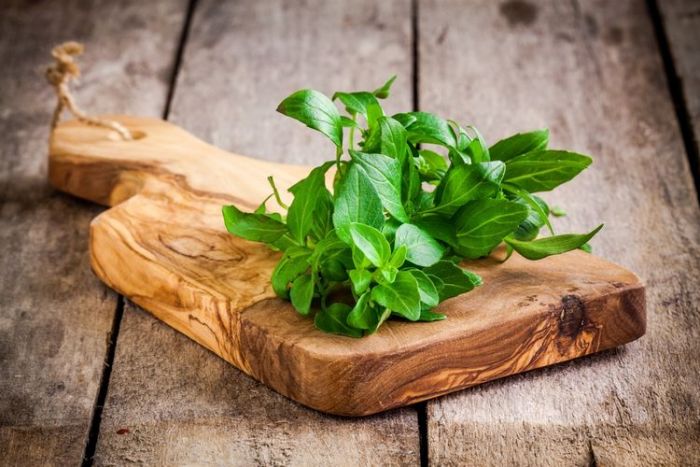 3 Efek Samping Setelah Konsumsi Daun Kemangi 3 Efek Samping Setelah Konsumsi Daun Kemangi