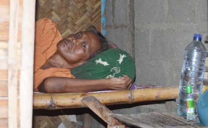 Jamaliyah, Janda Miskin dan Lumpuh di Situbondo yang tak Tersentuh Bantuan Pemerintah Jamaliyah, Janda Miskin dan Lumpuh di Situbondo yang tak Tersentuh Bantuan Pemerintah