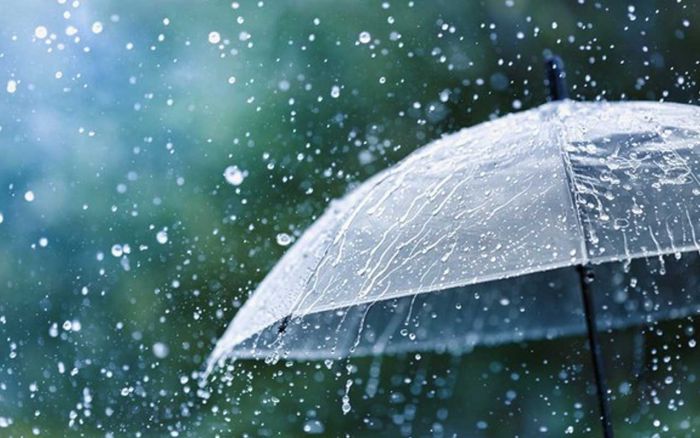 BMKG: Wilayah Kabupaten Madiun Cenderung Hujan Ringan pada 25 Januari 2024