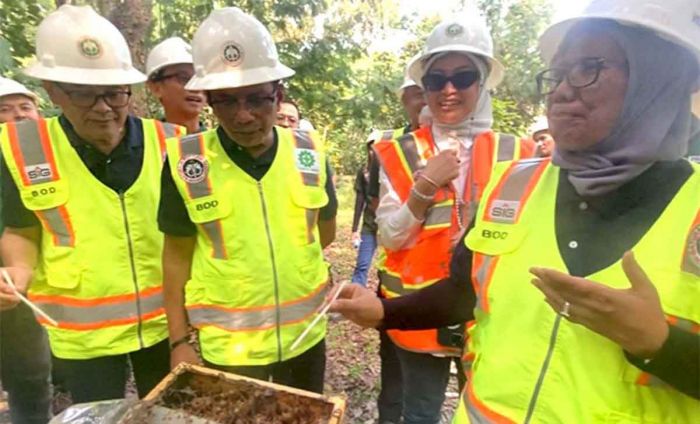 Lahan Pascatambang Semen Baturaja Dimanfaatkan untuk Budidaya Lebah Trigona Lahan Pascatambang Semen Baturaja Dimanfaatkan untuk Budidaya Lebah Trigona