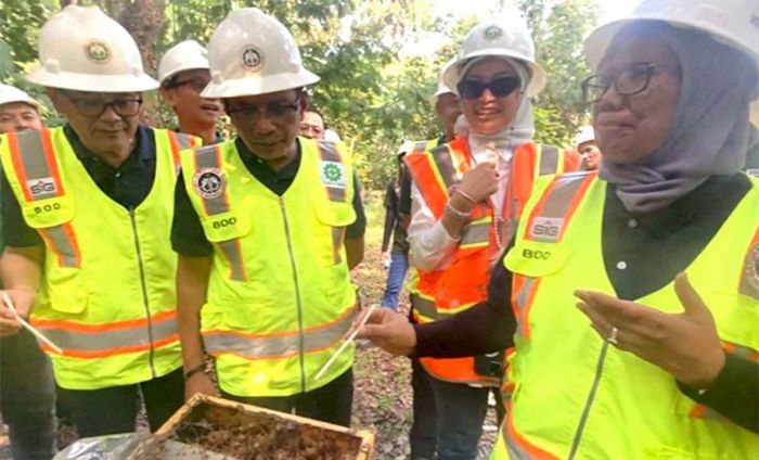 Lahan Pascatambang Semen Baturaja Dimanfaatkan untuk Budidaya Lebah Trigona