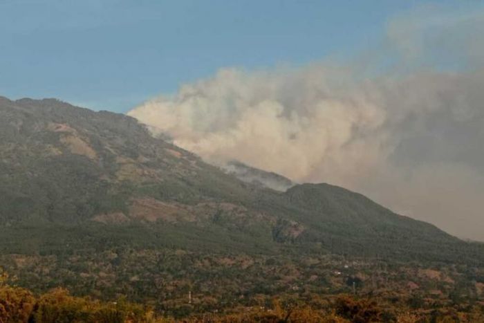 Waspada Kebakaran Hutan di Gunung Lawu Meluas Waspada Kebakaran Hutan di Gunung Lawu Meluas